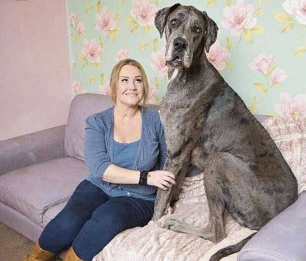 Fotografie: leprechaun.land