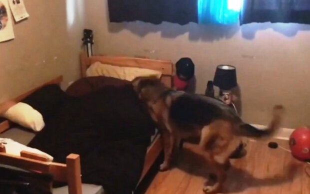 Fotografie: laykni.com