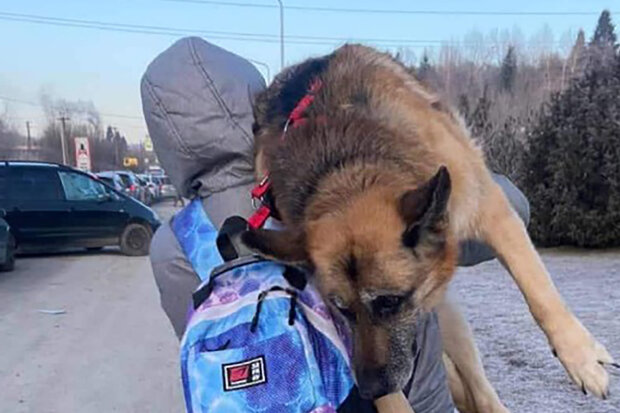 "Pes prožil s námi všechny šťastné a smutné chvíle": Jak Ukrajinci nesli staršího psa 17 kilometrů, aby s ním překročili hranici