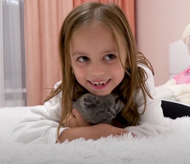 Kočka. Foto: snímek obrazovky YouTube