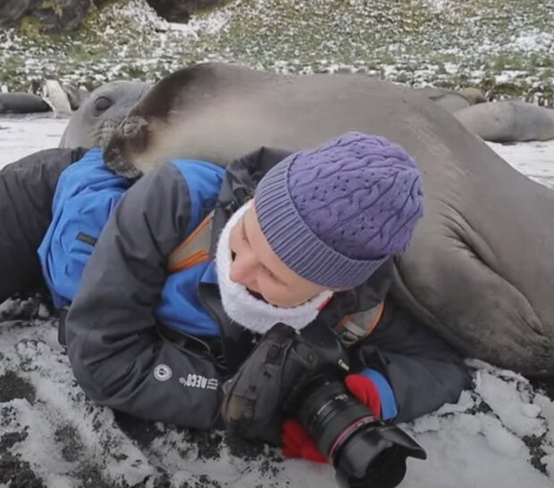 Žena a tuleň. Foto: snímek obrazovky YouTube