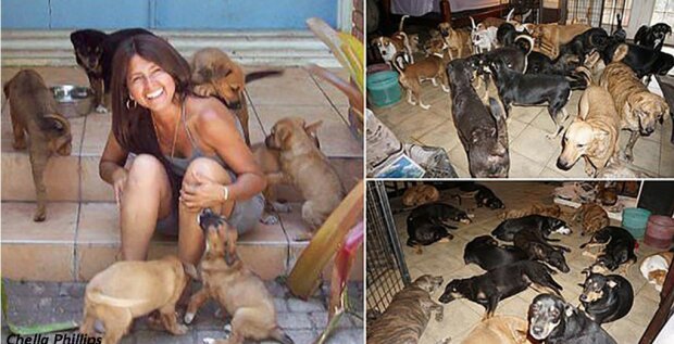 Chránila 97 psů tak, aby přežili hurikán: dívka vše nafotila a zveřejnila na internet