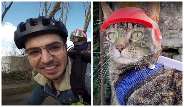 Kočka, přezdívaná Cathode, a její pán Remy. Foto: snímek obrazovky YouTube