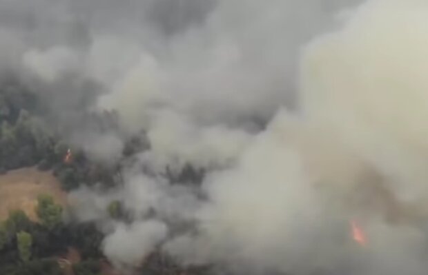 Změnu klimatu. Foto: snímek obrazovky YouTube