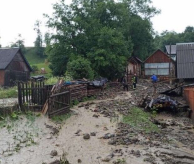 Holka. Foto: snímek obrazovky YouTube