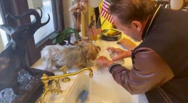 Celebrity jsou také lidé: Lady Gaga vypráví, jak se nejlépe chránit před koronavirem a Arnold Schwarzenegger učí psa umývat tlapky