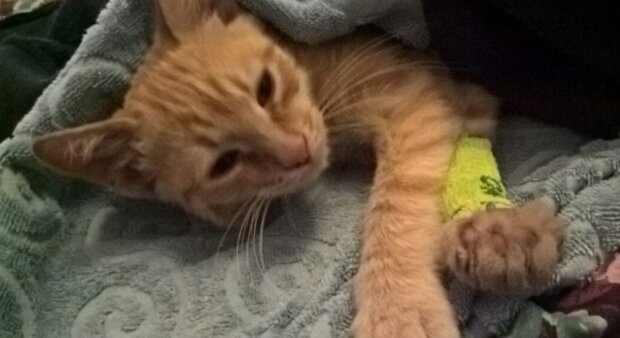 Fotografie: laykni.com