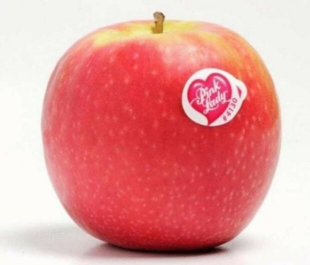 Fotografie: lime.energy