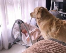 Foto: snímek obrazovky Instagram