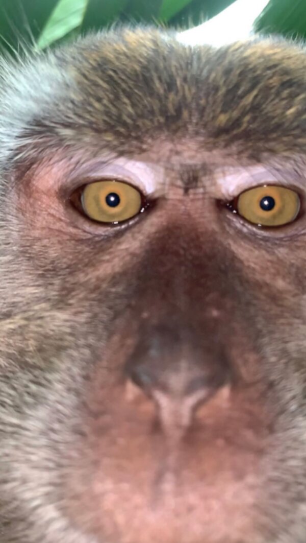 Fotografie: 4tololo.ru