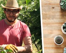 Chlapec nechal v pokoji zapnutou videokameru a díval se: Co dělají rostliny