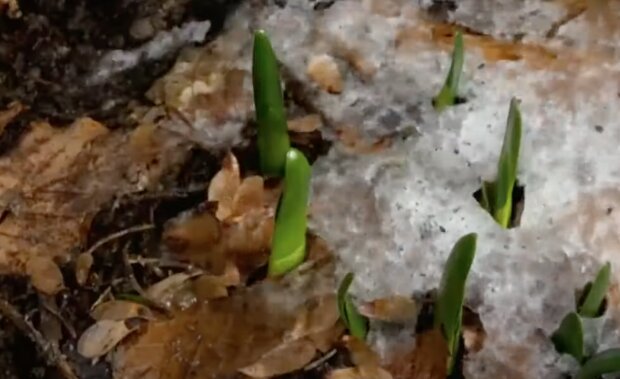 "Bude slunečno a po ránu mrazivo": Předpověď počasí na víkend. Meteorologové řekli, jak dlouho vydrží sluníčko