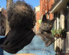 Chlupatý límec: úžasný zvyk kočky zahřeje hostitele v chladném počasí