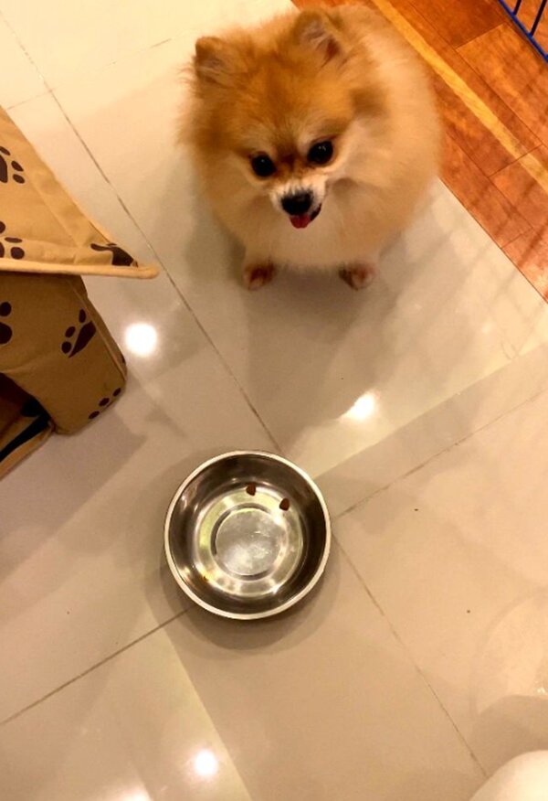 Fotografie: 4tololo.ru