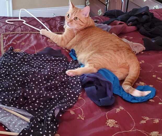 Fotografie: laykni.com