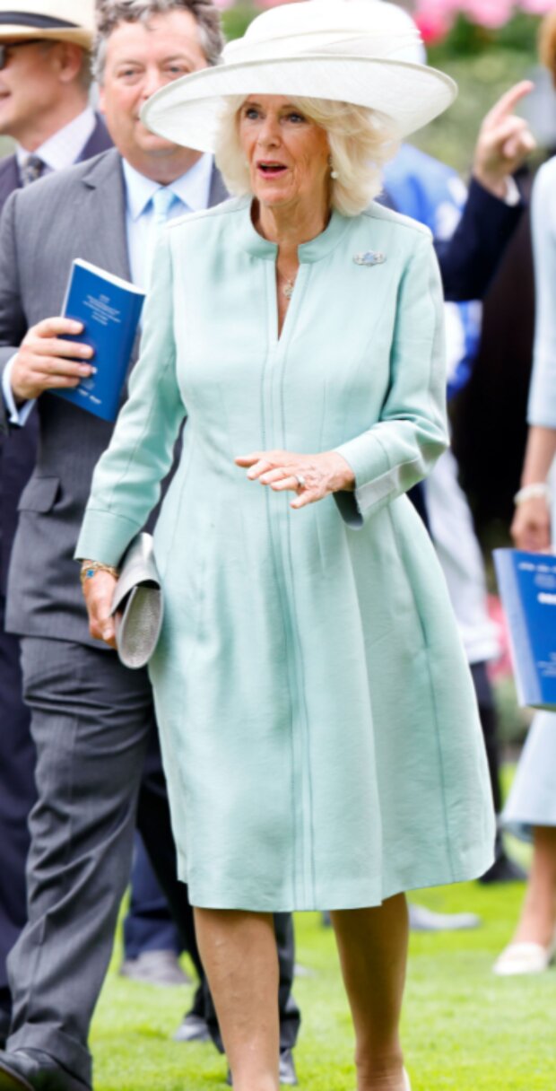 Vévodkyně Camilla. Foto: snímek obrazovky tsn