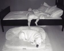 Fotografie: kennedynewsandmedia.co.uk