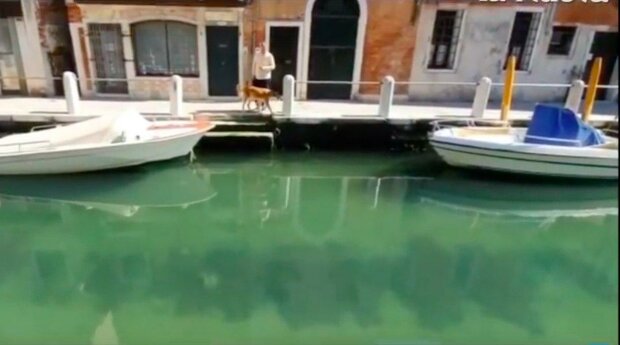 "Jako na Maledivách": nedostatek turistů proměnil vodu v kanálech Benátek v křišťálově čistou