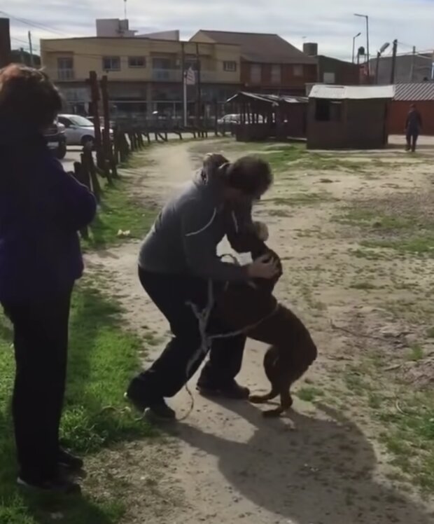 Majitel a pes. Foto: snímek obrazovky YouTube