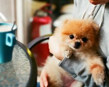 Fotografie: astro.clutch.ua