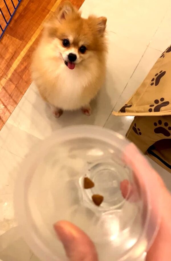 Fotografie: 4tololo.ru