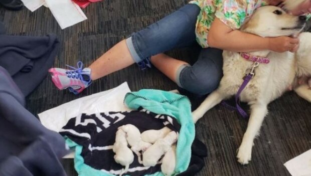 Fotografie: lemurov.net