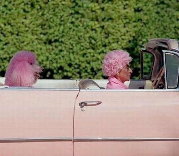 Lidé v podivném oblečení. Foto: snímek obrazovky clutch