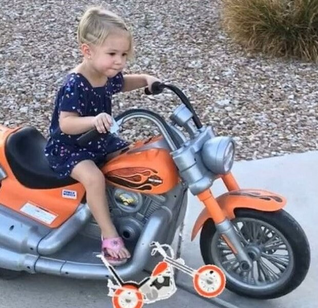 Zdroj fotografie: duck.show