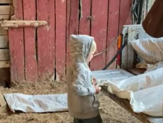 Kluk. Foto: snímek obrazovky YouTube