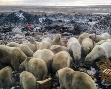 Rozmach globálního oteplování na sedmi fotografiích