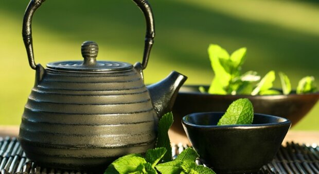 Proč je zelený čaj dobrý pro paměť