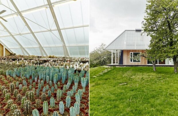 Rodina chtěla mít skleník. Designéři postavili jej přímo na střeše domu