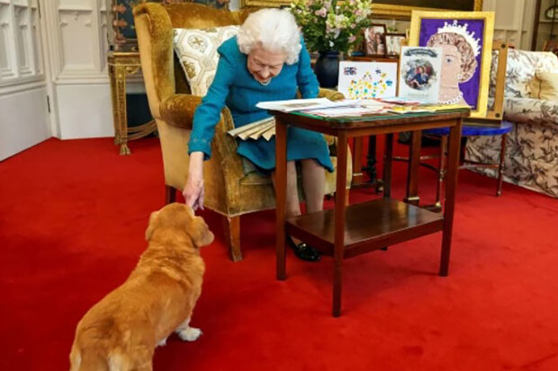 Kynolog promluvil o emocionálním stavu psů Alžběty II.: "Je těžké přijmout novou realitu"