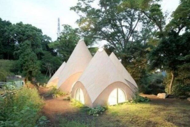 Nejlepší pečovatelský dům. Foto: snímek obrazovky kakao.im