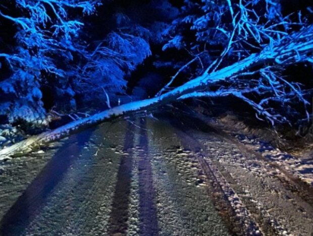 Sněžení. Foto: snímek obrazovky tn.nova.cz
