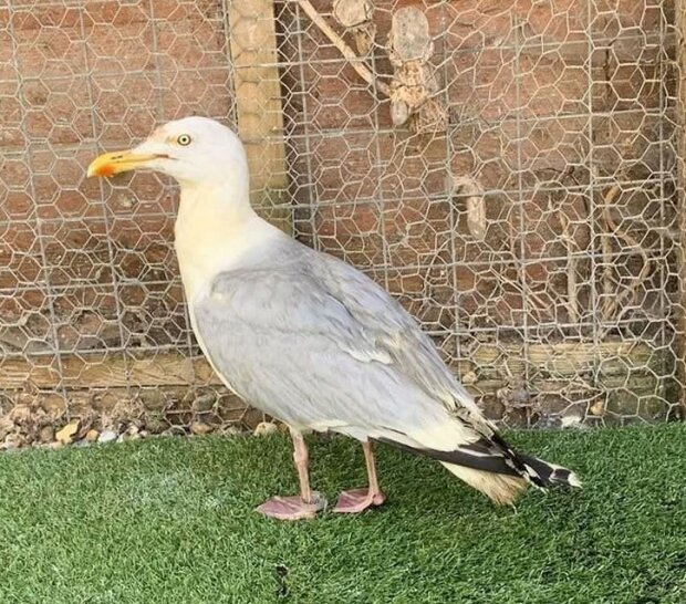 Fotografie: leprechaun.land