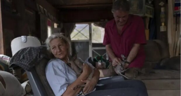 Manžele z Austrálie pečují o šedesát klokanů a šijí “kapsy” pro mláďata
