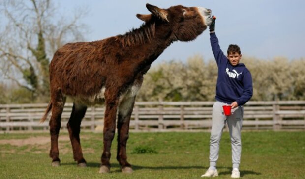 Fotografie: lebenweb.com