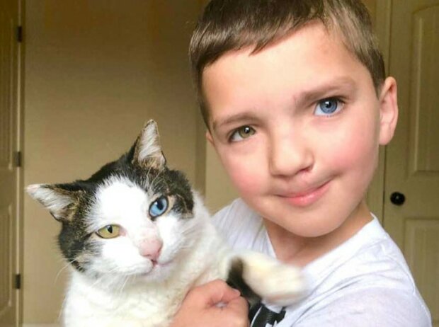 Chlapec s dvoubarevnými očíma vzal z útulku kočku se stejně neobvyklými očima