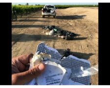 Neznámý člověk pravidelně vyhazoval odpadky na farmářově půdě, ale důvtip farmářovi pomohl připravit krásnou pomstu