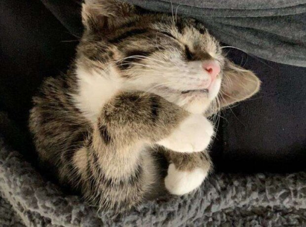 Fotografie: duck.show