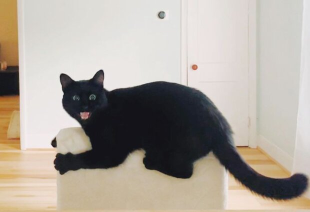 Fotografie: laykni.com