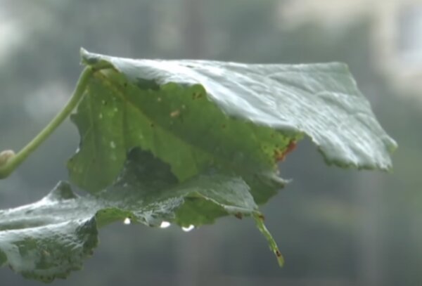 Počasí. Foto: snímek obrazovky YouTube