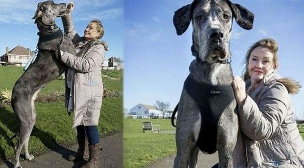 Fotografie: leprechaun.land