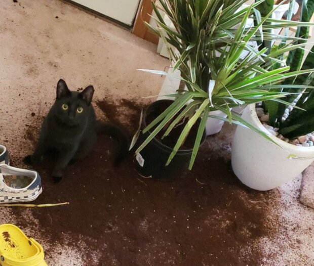 Fotografie: laykni.com