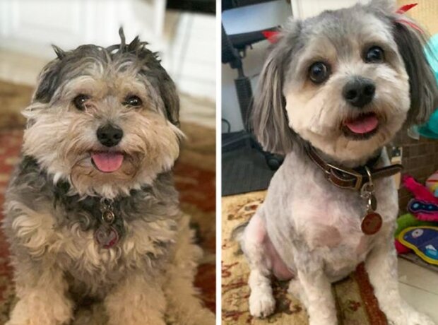 Fotografie: duck.show