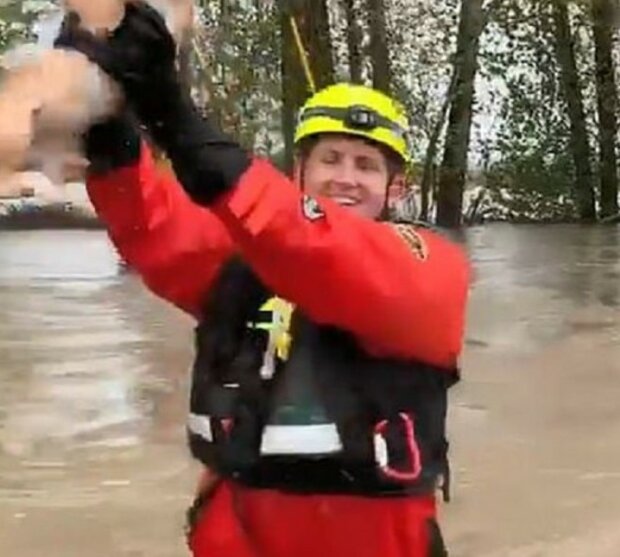 Fotografie: dailymail.co.uk