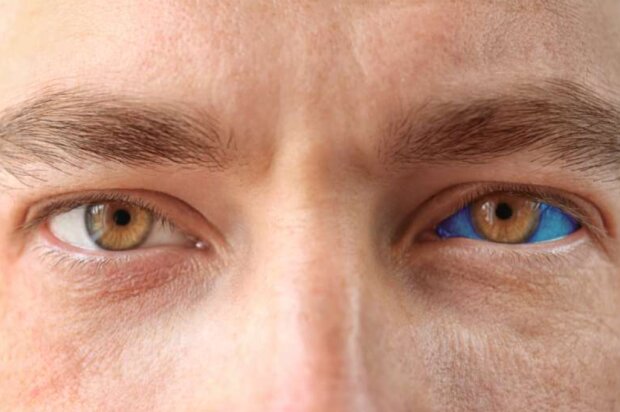 Oko. Foto: snímek obrazovky Africa Studio / Shutterstock.com