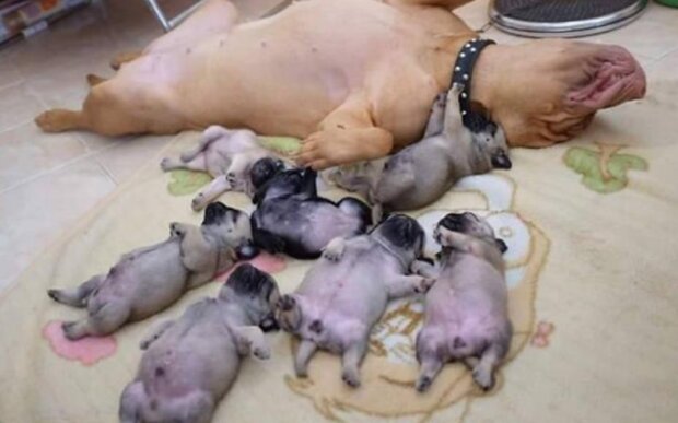 Fotografie: reddit.com