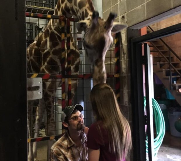 Kluk a holka. Foto: snímek obrazovky lemurov.net